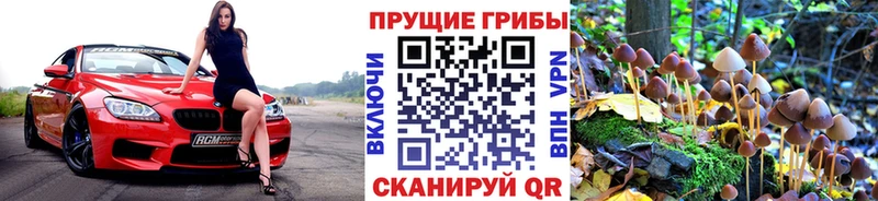 Галлюциногенные грибы мухоморы площадка наркотические препараты Ишим